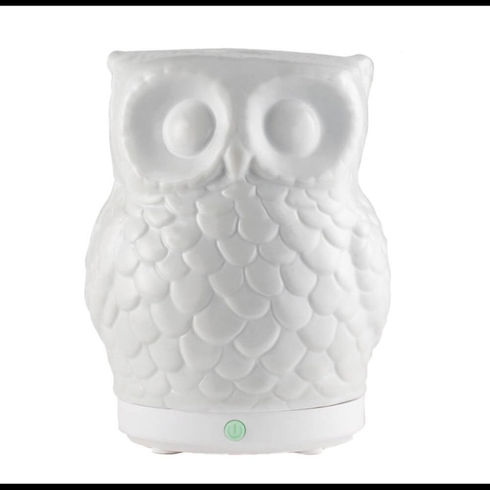 Mister Hoot Owl Essential Oil Diffuser - Picture 2 of 3